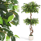 Randaco Künstlicher zweistufiger Ficus‑Baum mit weißem Topf dekorative Zimmerbegrünung für Innenräume 120 cm/150 cm