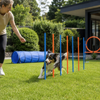 Randaco Agility Set Hunde 5-teiliges mit Slalom Hürde Sprungring Tunnel mit Slalom Hürde Sprungring und Hundetunnel für abwechslungsreiche Bewegung im Garten oder Park