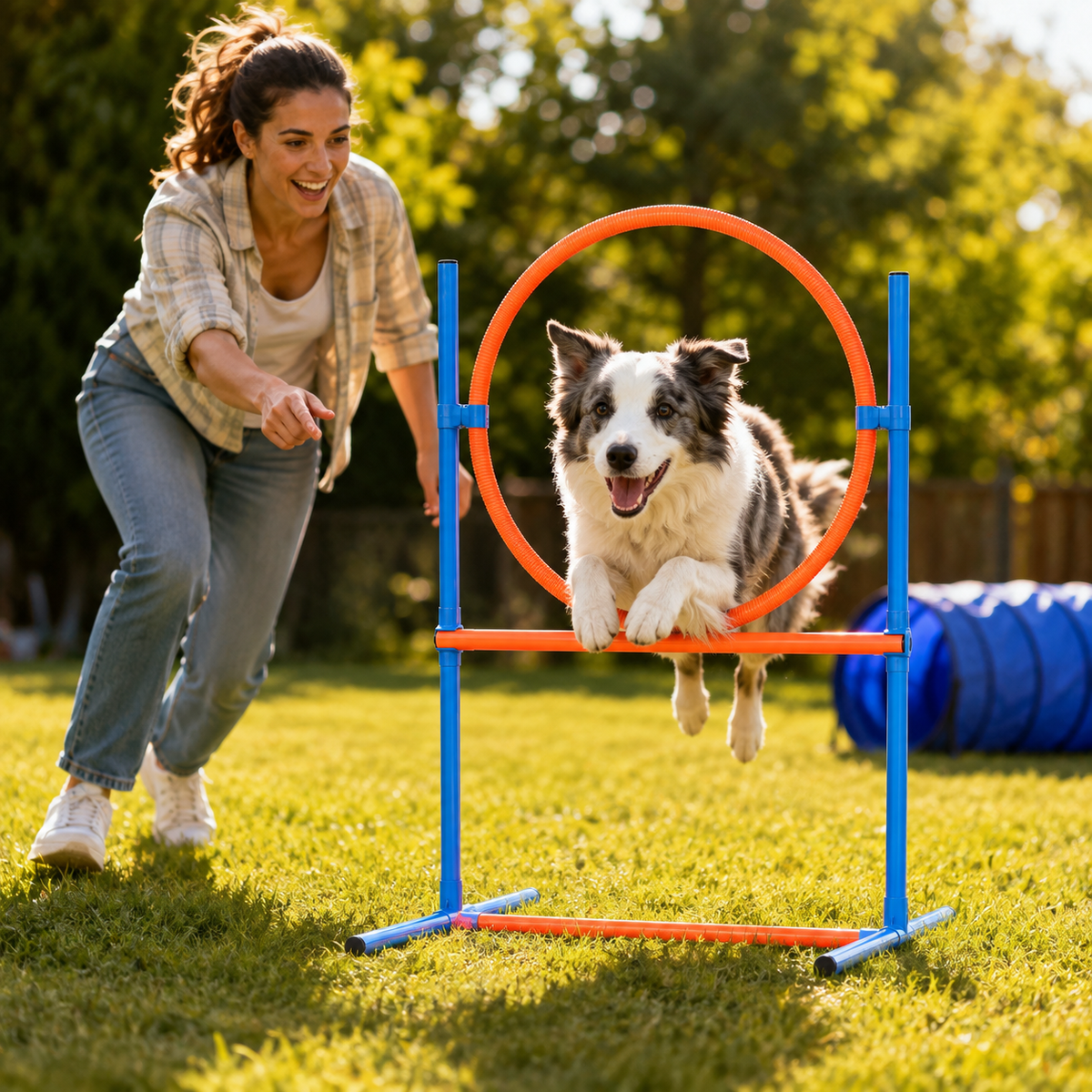 Randaco Agility Set Hunde 5-teiliges mit Slalom Hürde Sprungring Tunnel mit Slalom Hürde Sprungring und Hundetunnel für abwechslungsreiche Bewegung im Garten oder Park