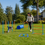 Randaco Agility Set Hunde 5-teiliges mit Slalom Hürde Sprungring Tunnel mit Slalom Hürde Sprungring und Hundetunnel für abwechslungsreiche Bewegung im Garten oder Park