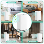 Randaco Elektrischer Luftentfeuchter 16 L/Tag 3 Modi Digitalanzeige Timer Ablaufschlauch für Keller Schlafzimmer und Waschküche