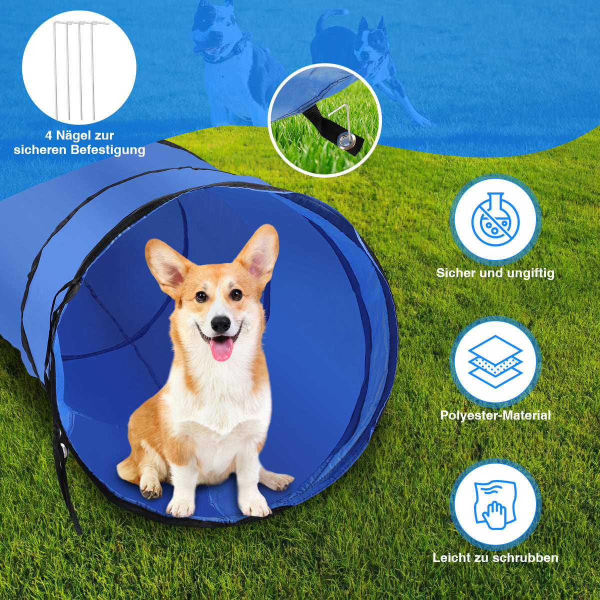 Randaco Agility Set Hunde 5-teiliges mit Slalom Hürde Sprungring Tunnel mit Slalom Hürde Sprungring und Hundetunnel für abwechslungsreiche Bewegung im Garten oder Park