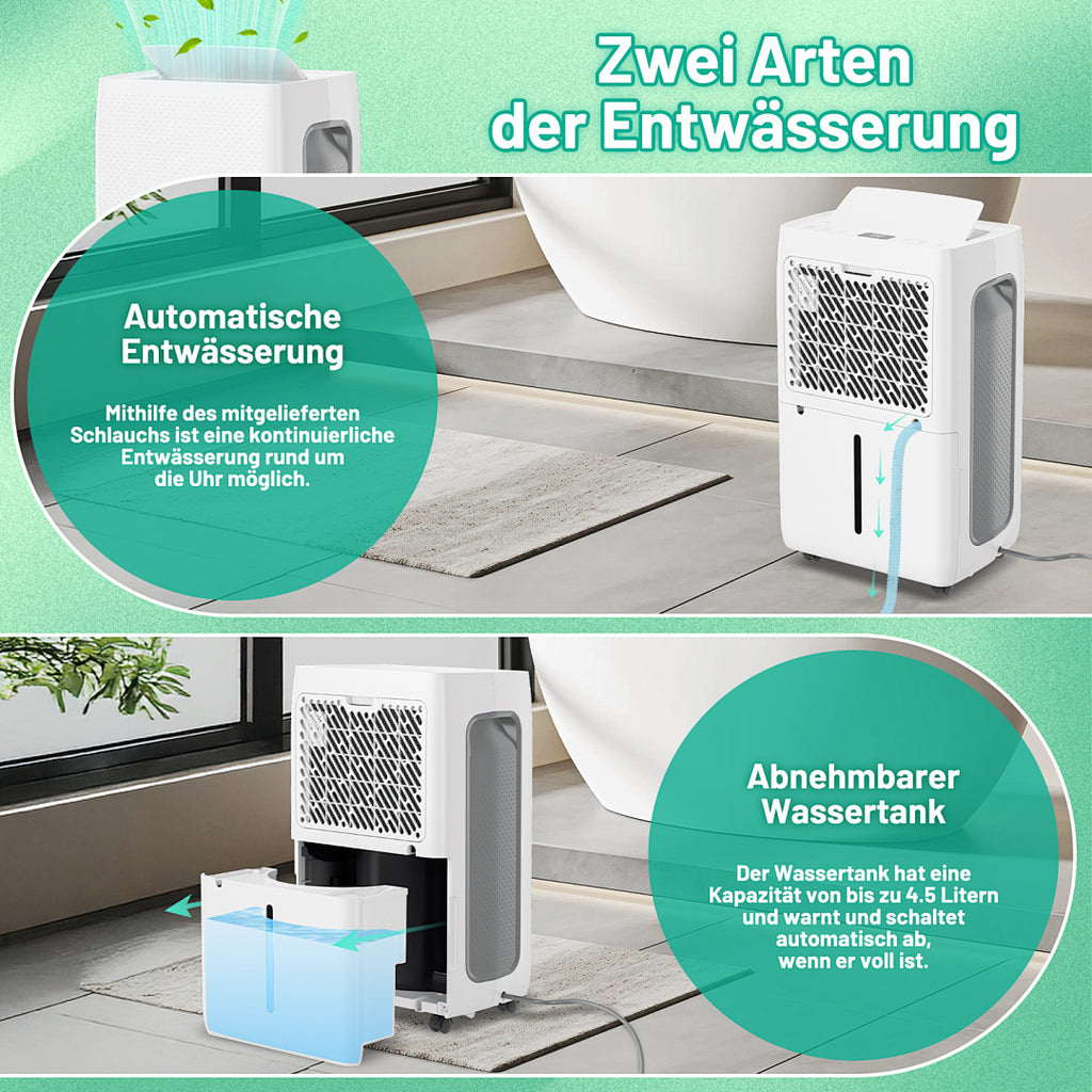 Randaco Elektrischer Luftentfeuchter 26 L/Tag bis 30 m² mit 24H-Timer Schlafmodus Abtauautomatik für Keller Schlafzimmer und Waschküche