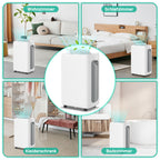Randaco Elektrischer Luftentfeuchter 26 L/Tag bis 30 m² mit 24H-Timer Schlafmodus Abtauautomatik für Keller Schlafzimmer und Waschküche