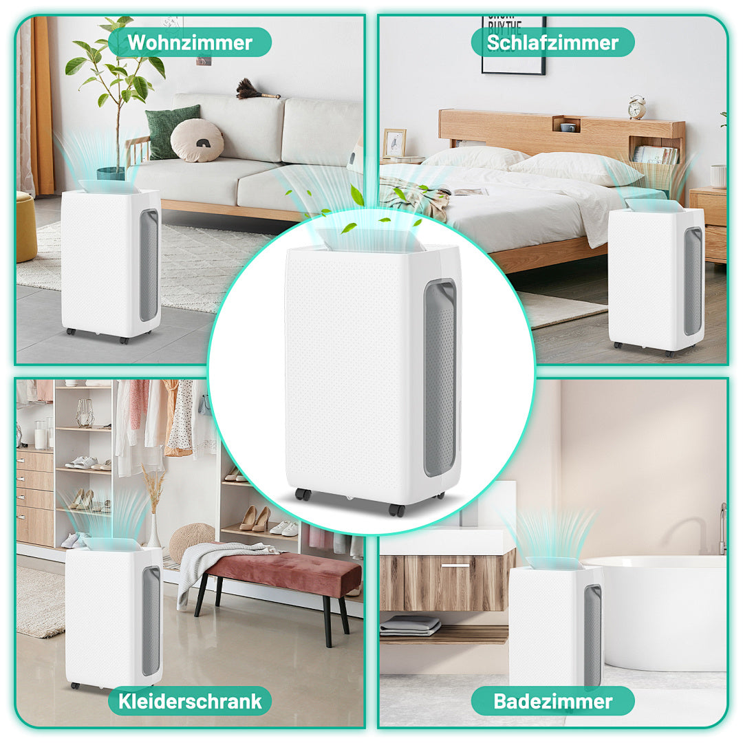 Randaco Elektrischer Luftentfeuchter 26 L/Tag bis 30 m² mit 24H-Timer Schlafmodus Abtauautomatik für Keller Schlafzimmer und Waschküche