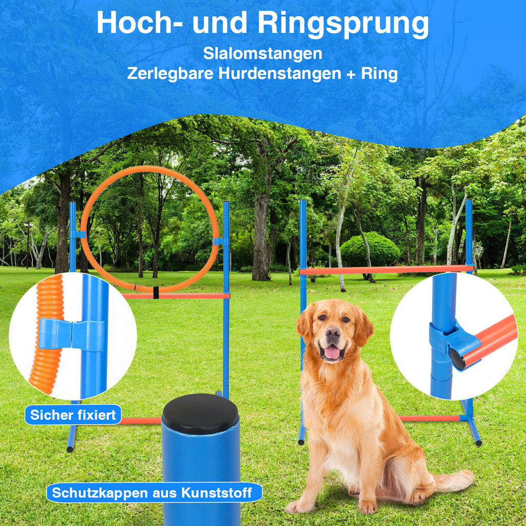 Randaco Agility Set Hunde 5-teiliges mit Slalom Hürde Sprungring Tunnel mit Slalom Hürde Sprungring und Hundetunnel für abwechslungsreiche Bewegung im Garten oder Park