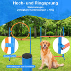 Randaco Agility Set Hunde 5-teiliges mit Slalom Hürde Sprungring Tunnel mit Slalom Hürde Sprungring und Hundetunnel für abwechslungsreiche Bewegung im Garten oder Park