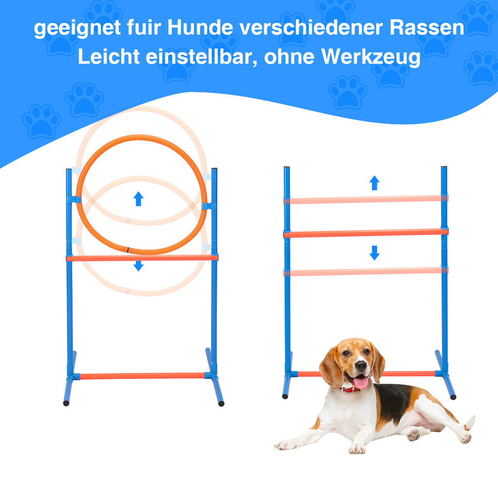 Randaco Agility Set Hunde 5-teiliges mit Slalom Hürde Sprungring Tunnel mit Slalom Hürde Sprungring und Hundetunnel für abwechslungsreiche Bewegung im Garten oder Park