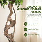 Randaco Künstlicher zweistufiger Ficus‑Baum mit weißem Topf dekorative Zimmerbegrünung für Innenräume 120 cm/150 cm