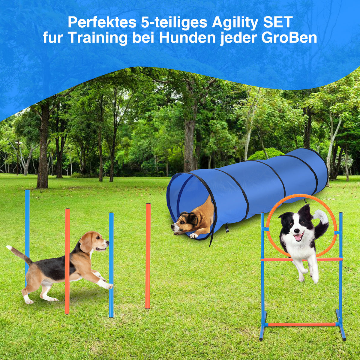Randaco Agility Set Hunde 5-teiliges mit Slalom Hürde Sprungring Tunnel mit Slalom Hürde Sprungring und Hundetunnel für abwechslungsreiche Bewegung im Garten oder Park