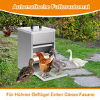 Randaco Futterautomat Hühner 5kg Hühnerfutterautomat mit Trittplatte Geflügel Futterspender Verzinkter Futtertrog Mäuseschutz Trockenfutterbox für Stall und Außenbereich
