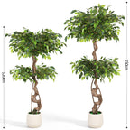 Randaco Künstlicher zweistufiger Ficus‑Baum mit weißem Topf dekorative Zimmerbegrünung für Innenräume 120 cm/150 cm
